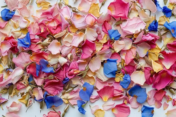 Dried flower confetti
