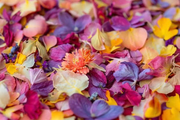 Dried flower confetti