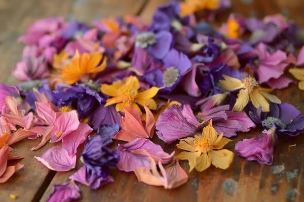 Dried flower confetti
