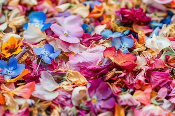Dried flower confetti