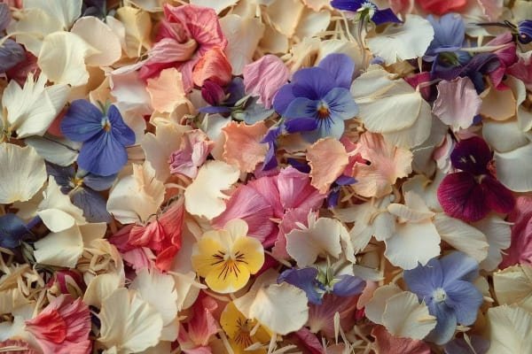 Dried flower confetti