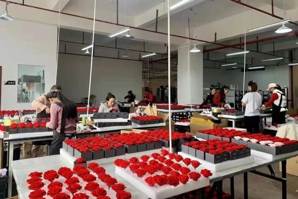 Dried Flower Workers Production Process 