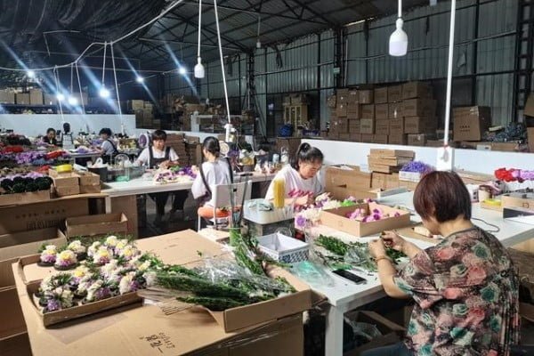 Dried Flower Workers Production Process 