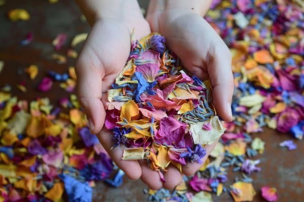 Biodegradable confetti