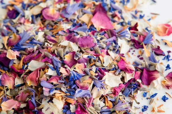 Biodegradable confetti