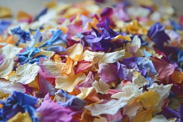 Biodegradable confetti