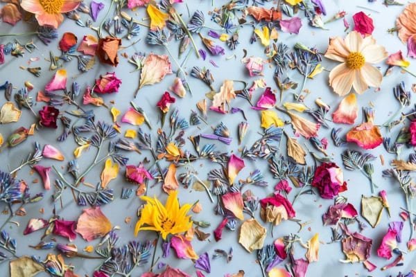 Dried flower confetti