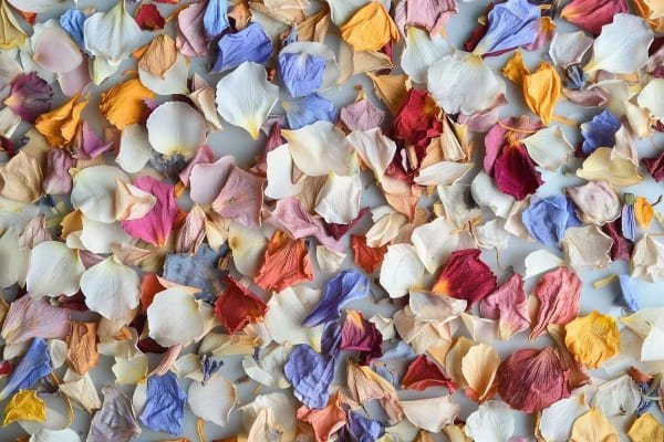 Dried flower confetti