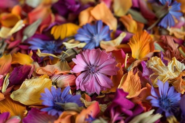 dried petal confetti