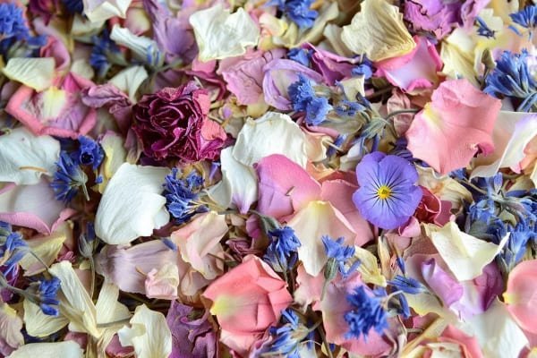 Dried flower confetti