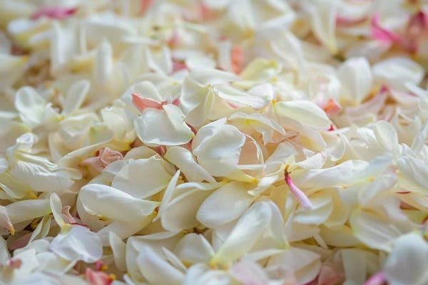 Dried flower confetti