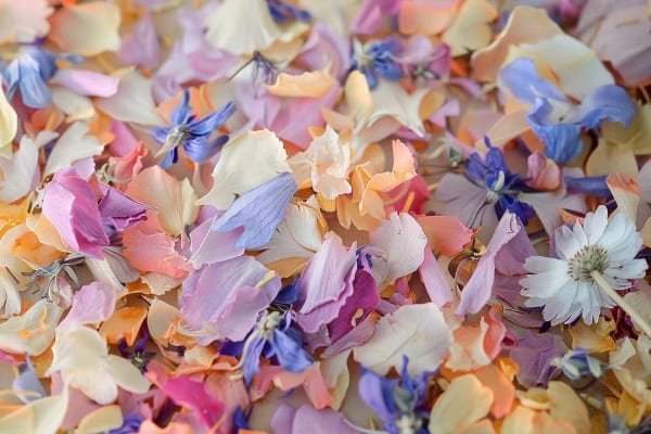 Dried flower confetti