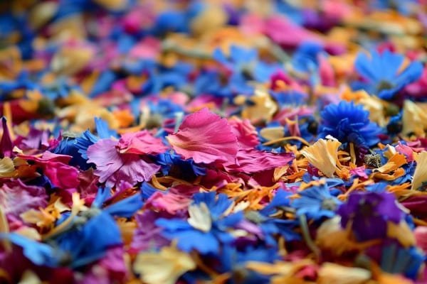 Dried flower confetti