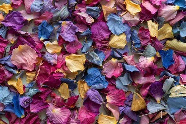 Dried flower confetti