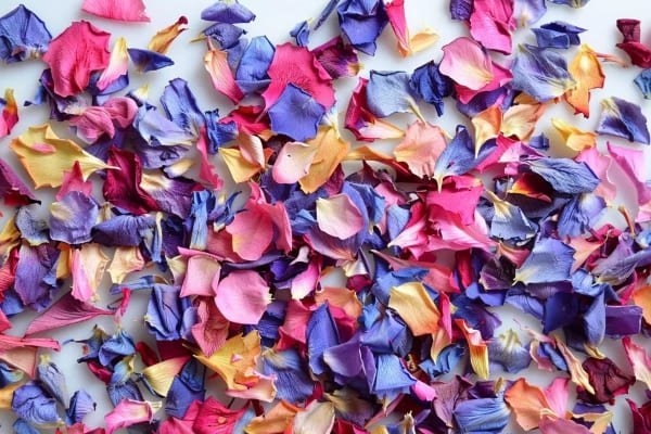 Dried flower petals