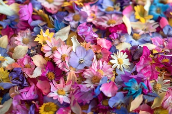 Dried flower confetti