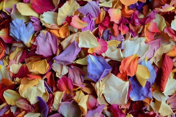 Dried flower confetti
