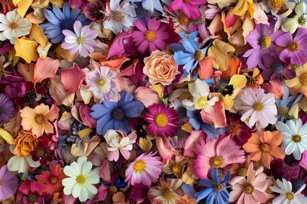 Dried flower confetti