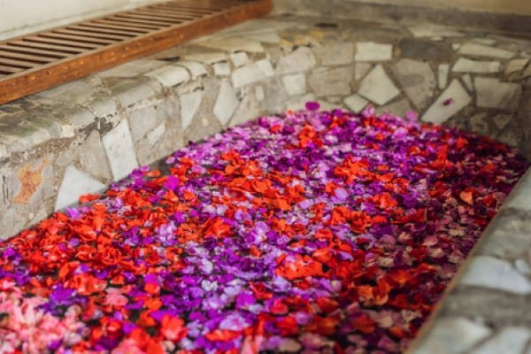 dried flower spa