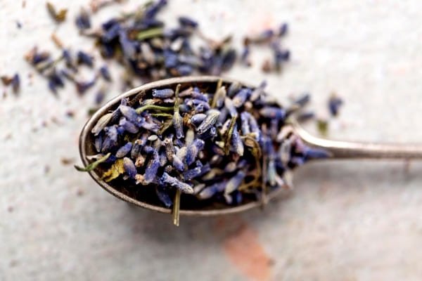 Dried Lavender