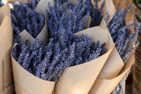 Dried Lavender