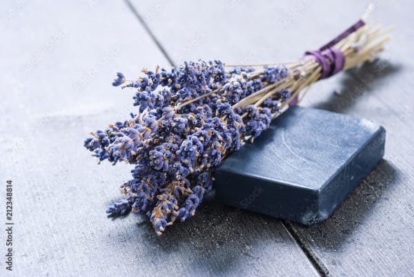 Dried Lavender