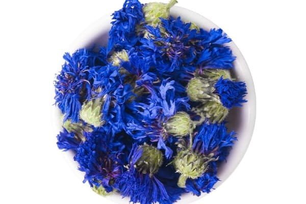 Dried Cornflowers