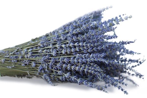 Dried Lavender