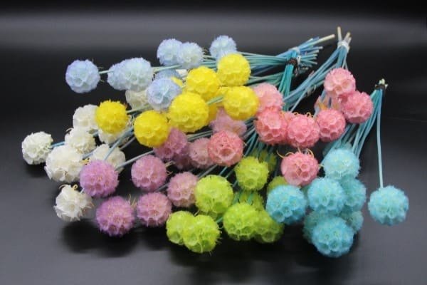 Dried Scabiosa